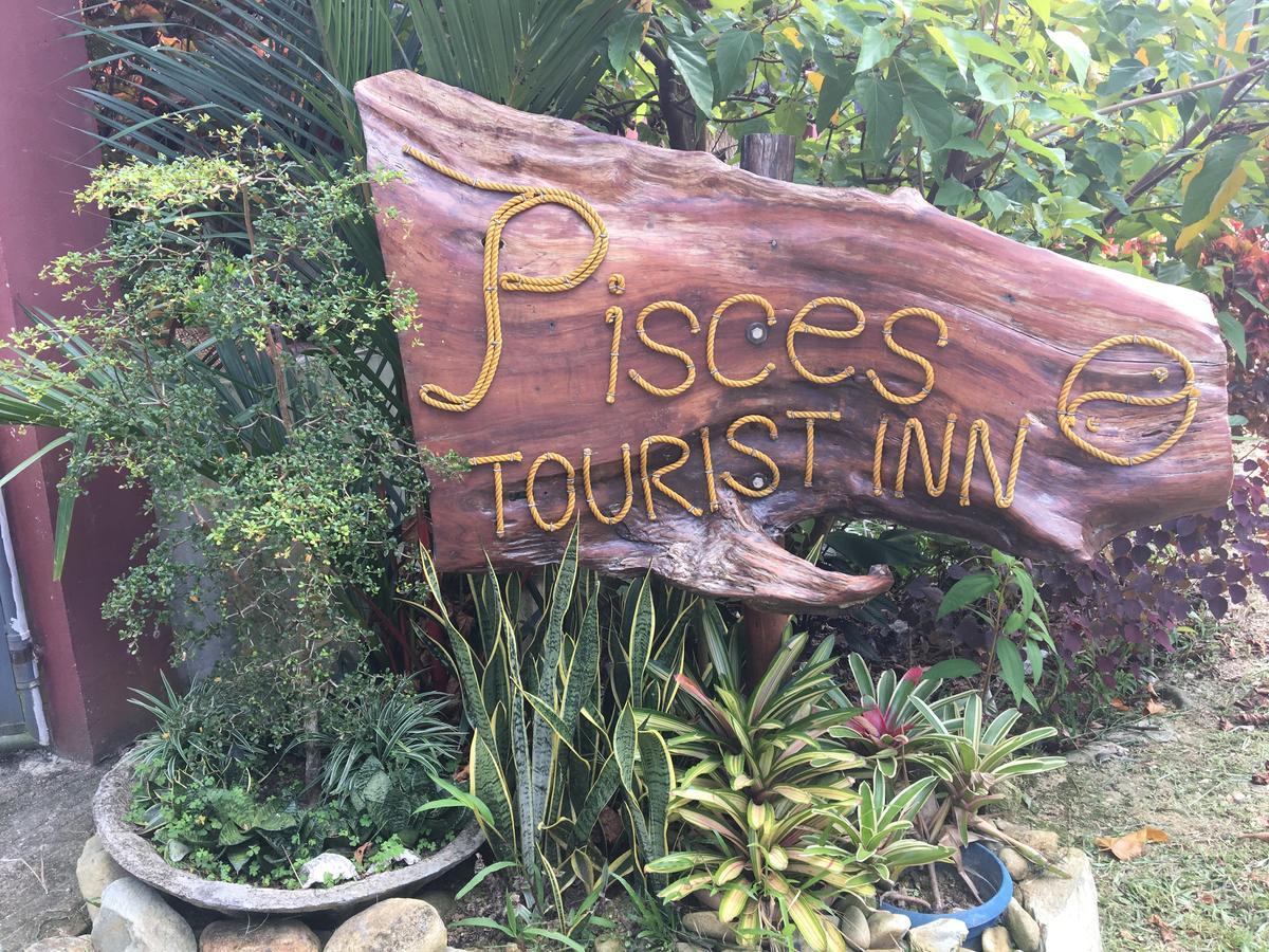 Pisces Tourist Inn - Port Barton San Vicente  Exterior foto